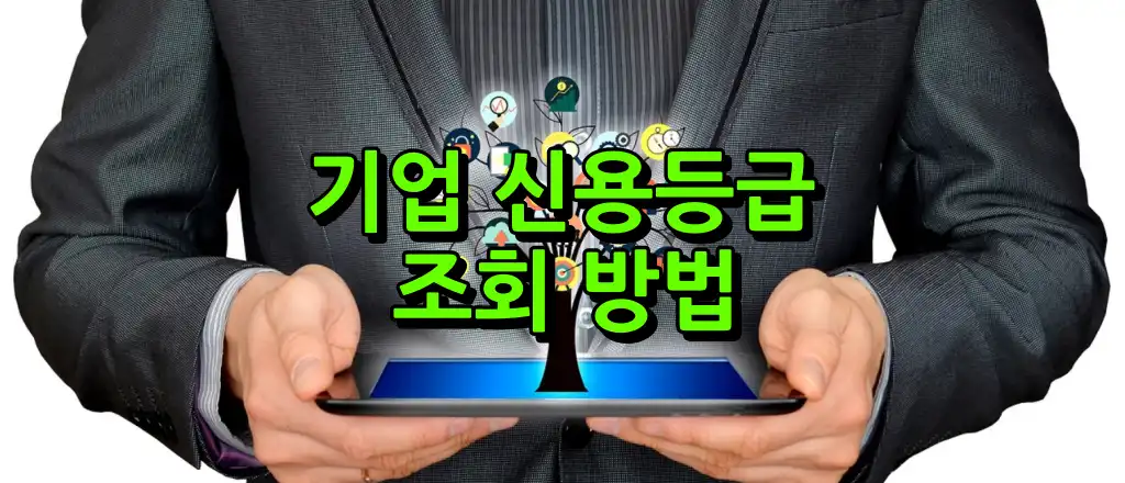 기업 신용등급 조회 방법